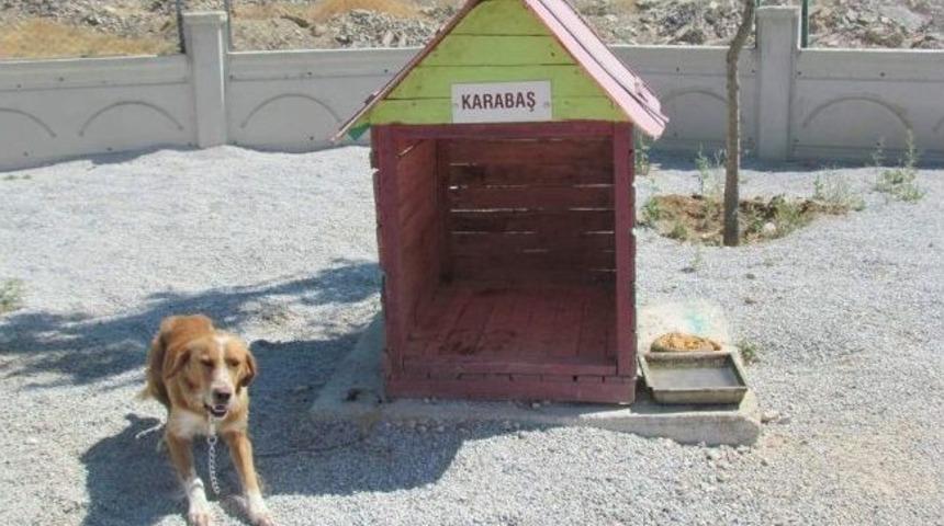 Artık Onların Da Bir Evi Var