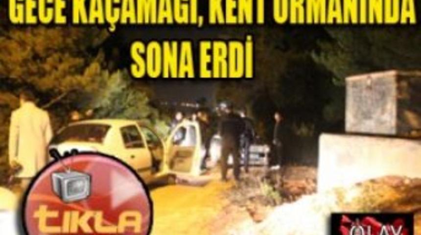 Gece Ka&ccedil;amağı,kent ormanında sona erdi