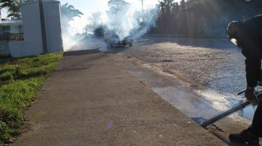 K&uuml;&ccedil;&uuml;kk&ouml;y'de Sineksiz Yaz İ&ccedil;in İla&ccedil;lama &Ccedil;alışması Başladı