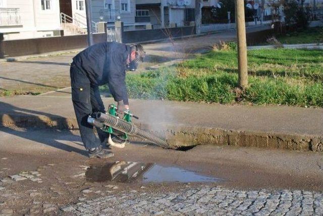 Küçükköy'de Sineksiz Yaz İçin İlaçlama Çalışması Başladı