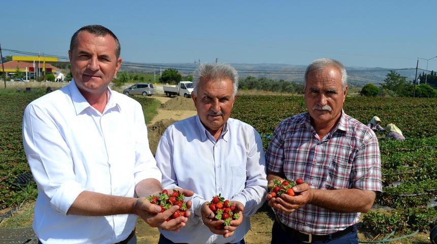 Köprübaşı çileğine çifte patent
