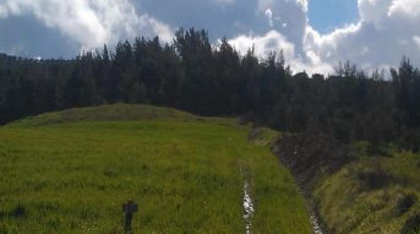 Patlamayan 2 Havan Mermisi Toprağa Saplı Bulundu