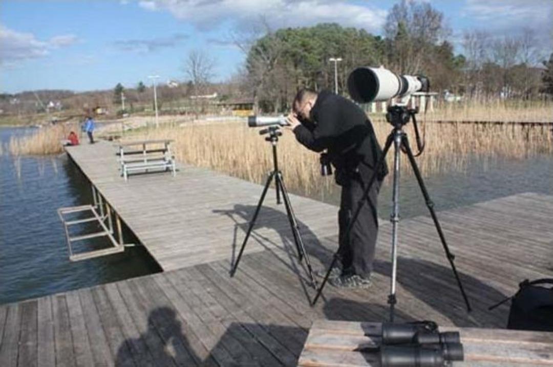 Sapanca G&ouml;l&uuml; 2013 Kış Ortası Sukuşu Sayımı