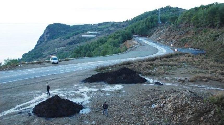 Zeytinada Mercek Altında