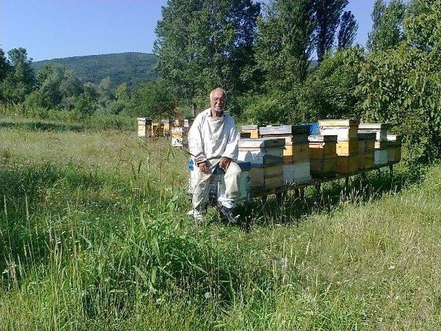 Emekli &Ouml;ğretmen &Uuml;&ccedil; &Ccedil;eşit Bal &Uuml;retiyor 1