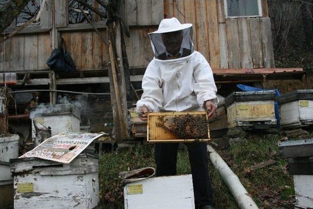 Emekli &Ouml;ğretmen &Uuml;&ccedil; &Ccedil;eşit Bal &Uuml;retiyor 2