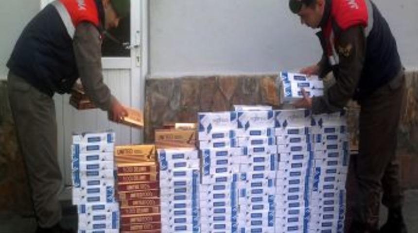 Alanya'da Gümrük Kaçağı Sigaraya Geçit Yok