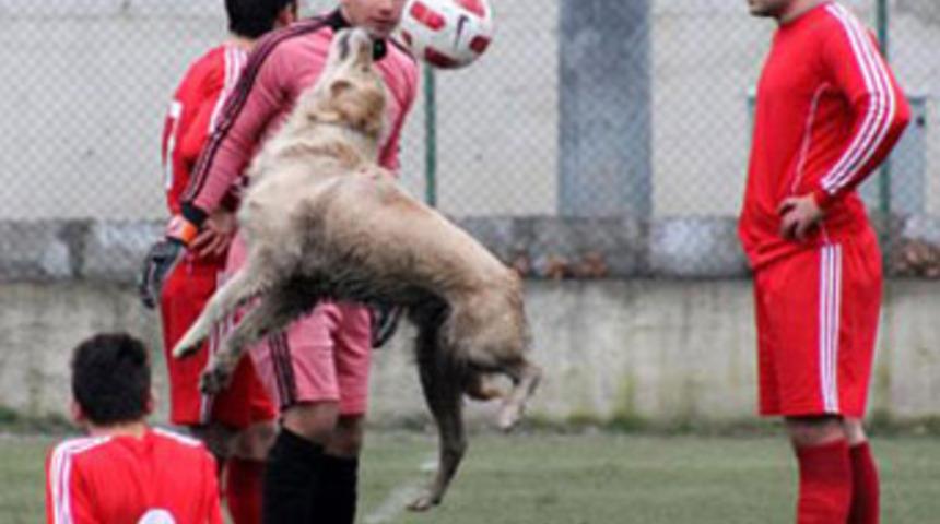 Sokak k&ouml;peği futbol ma&ccedil;ında