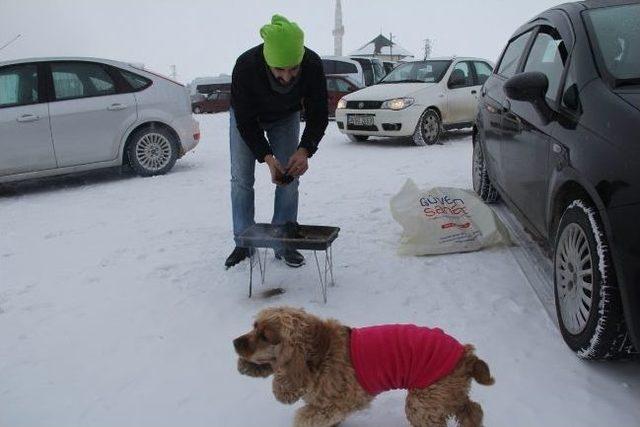 Köpeğiyle Birlikte Kar Üstünde Mangal Yaptı 2