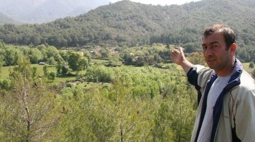 2b Satışlarında Peşinat Kaldırıldı