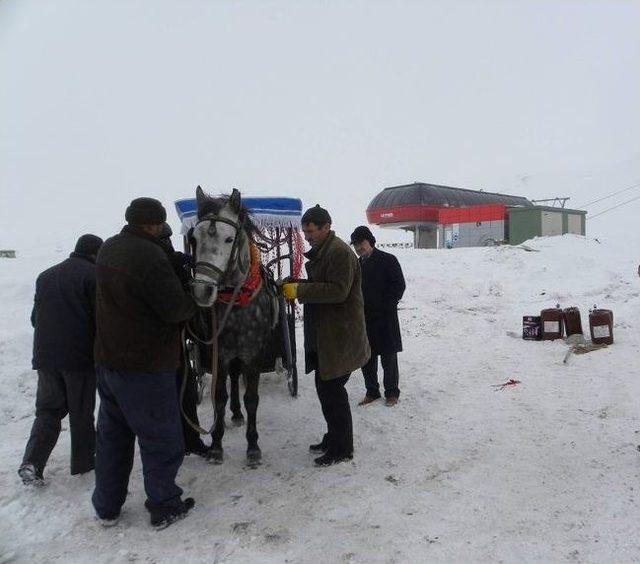 Erciyes Kayak Merkezi&rsquo;nde Atlı Kızak Turları Başladı 1