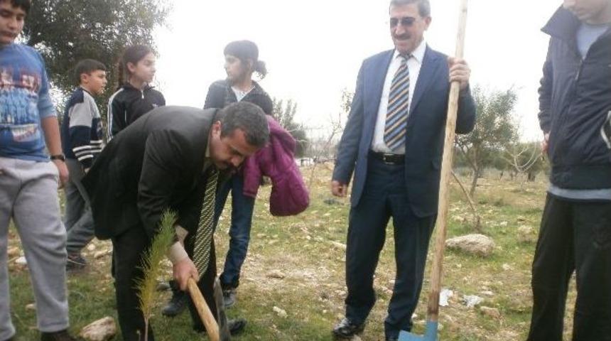 &Ccedil;ogem&rsquo;li &Ccedil;ocuklar Fidan Dikti