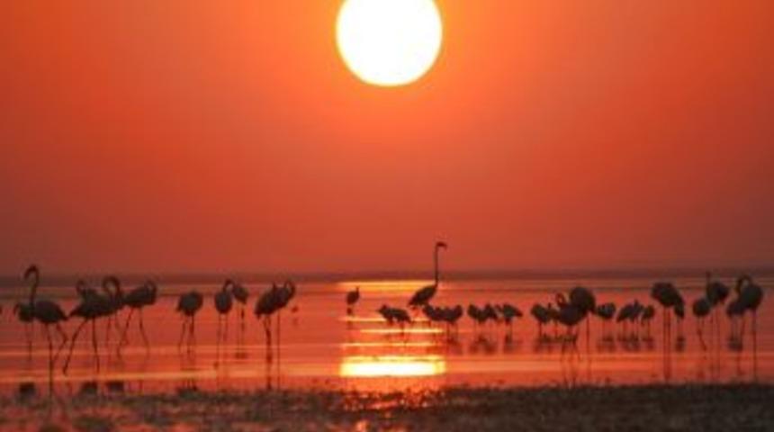 Seyfe G&ouml;l&uuml; Kuş Cenneti&rsquo;nin Tanıtıma Ihtiyacı Var