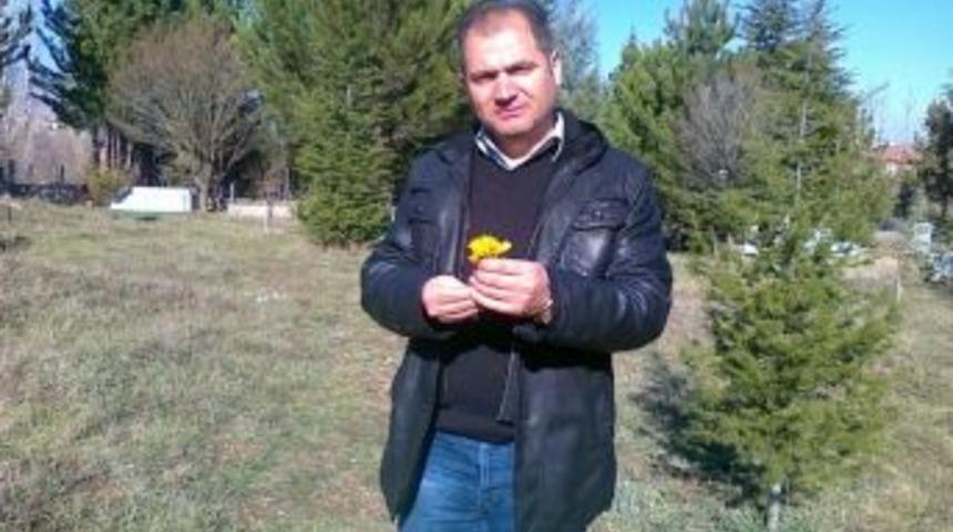 Baharın M&uuml;jdecisi &Ccedil;iğdemler Erken &Ccedil;i&ccedil;ek A&ccedil;tı