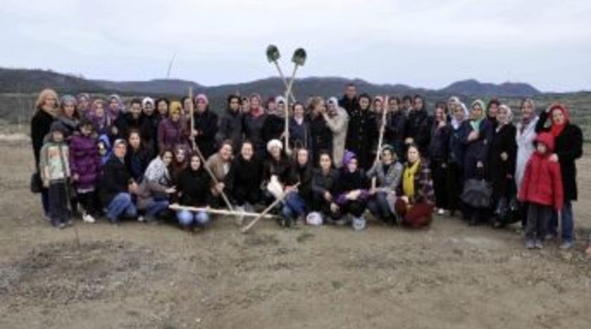 Ko-mek 100 Fidana Can Verdi