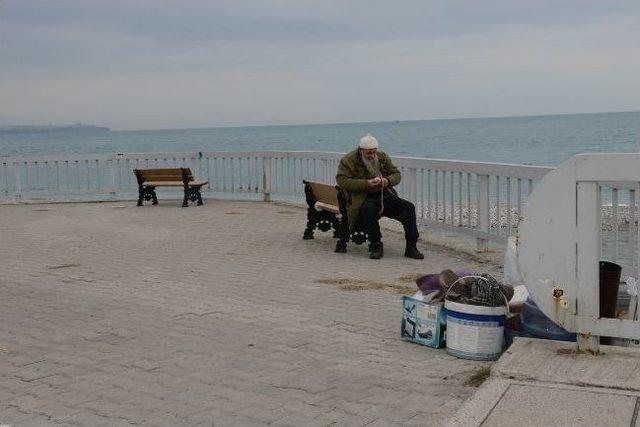 Köprüaltındaki Yaşama Konyaaltı Belediyesi Müdahale Etti.