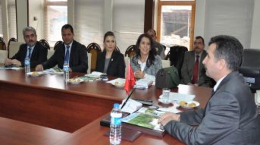 Tarsus'ta Keklik Avı Yasaklandı