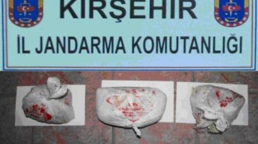 Narkotik K&ouml;peği Akut, Pekmezin İ&ccedil;inden Esrarı &Ccedil;ıkardı