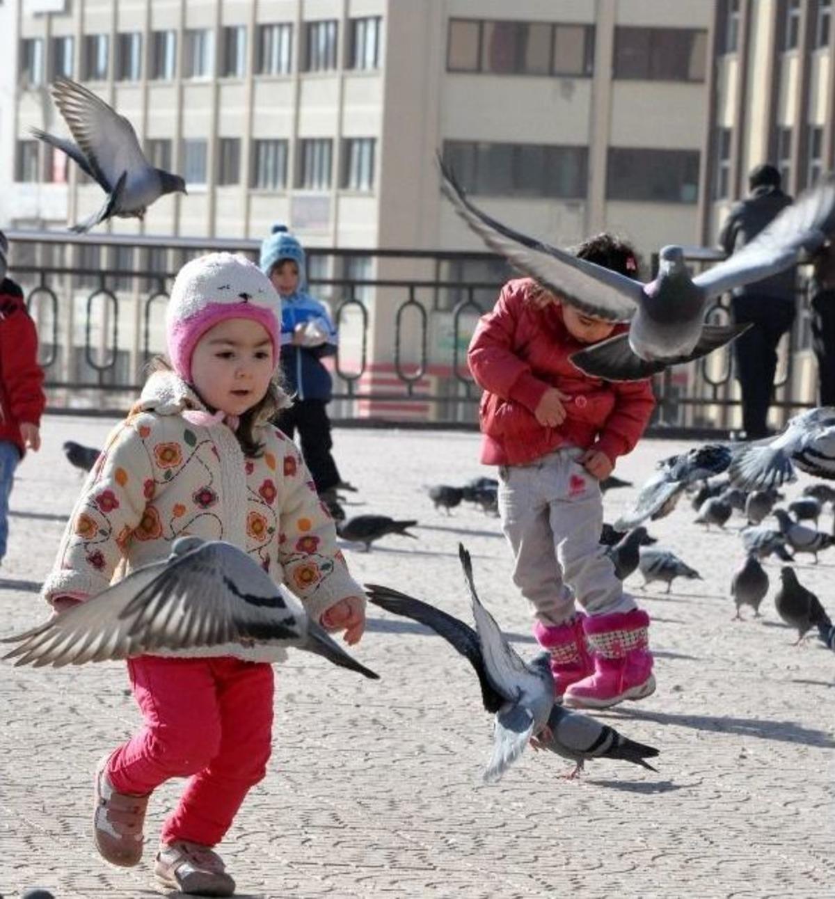 G&uuml;neşin Keyfini &Ccedil;ıkartıp G&uuml;vercinlerle Oyun Oynadılar