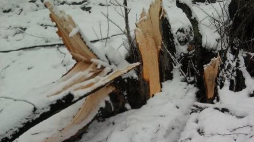 &Uuml;nye&rsquo;de Kaza: 6 Yaralı