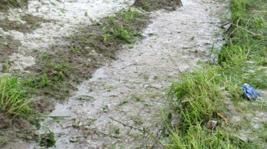 "Bir Şey Olmaz Demeyin Sigortanızı Ihmal Etmeyin"