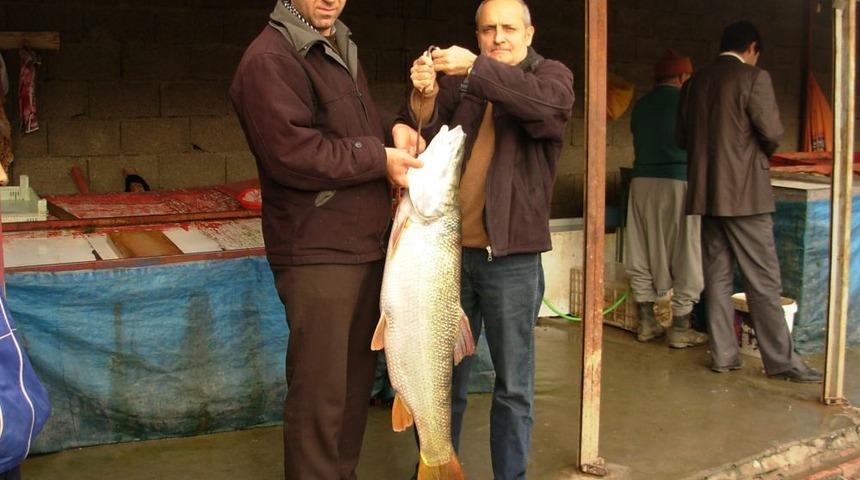 Üniversitenin Araştırmasına Göre Balıkçılar, Avlanma Ve Pazarlamada Deneyimsiz