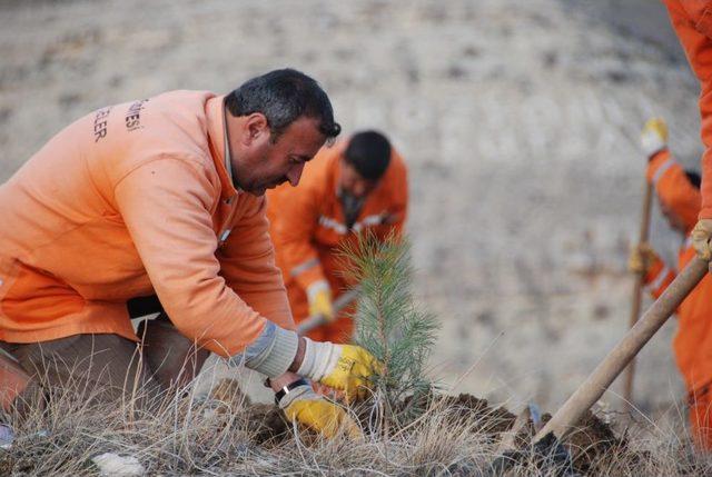 Konya da Kişi Başına D&uuml;şen Yeşil Alan 48 Metrekareye &Ccedil;ıktı 2