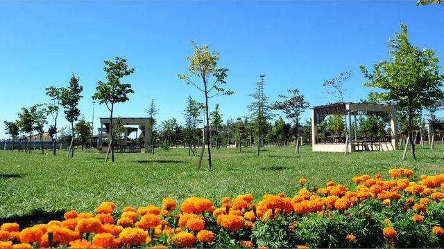 Konya da Kişi Başına D&uuml;şen Yeşil Alan 48 Metrekareye &Ccedil;ıktı 3