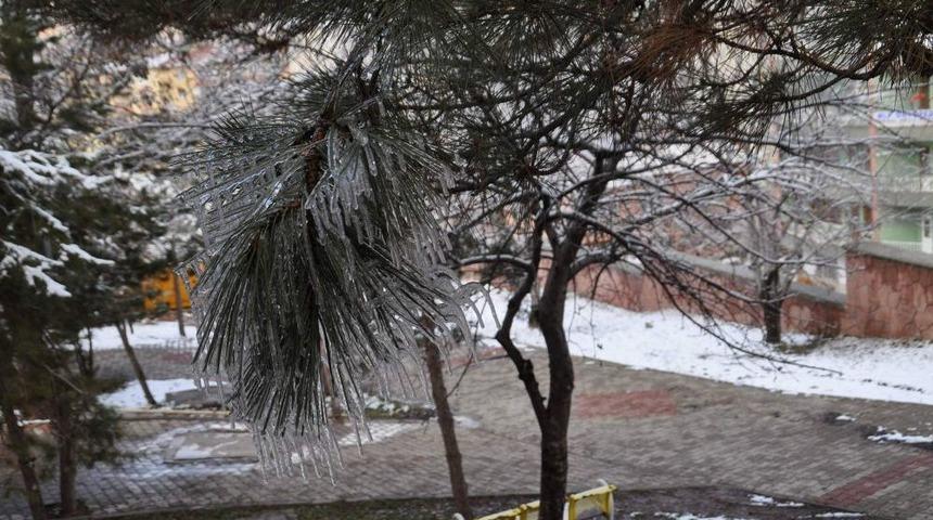 Yozgat&rsquo;ta Soğuk Hava Ağa&ccedil; Dallarında Buz Sa&ccedil;akları Oluşturdu