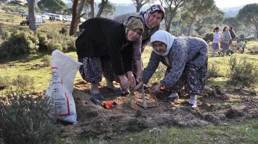 Orman İşletme 2013&rsquo;te Hedef B&uuml;y&uuml;tt&uuml;