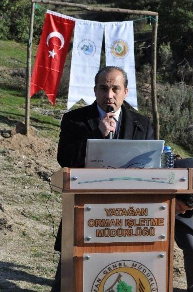 Orman İşletme 2013’te Hedef Büyüttü 1