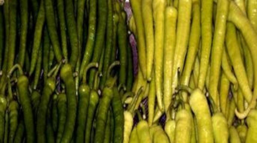 T&uuml;rk Biberi Masum &Ccedil;ıktı