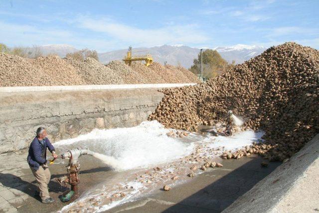 Erzincan Şeker Fabrikası, 20 Bin Ton Kristal Şeker Üretti