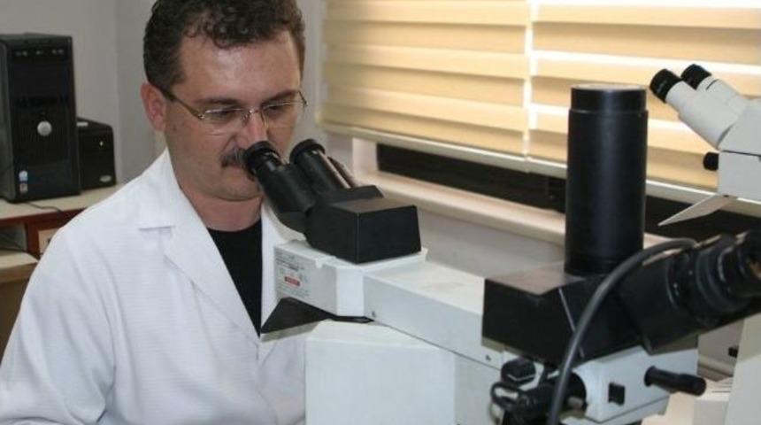 Koyun Yetiştiricilerinde Normalin 3 Katı Hepatit B Tespit Edildi