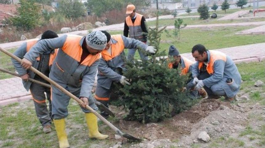 İşsizliğe Karşı Belediye Desteği