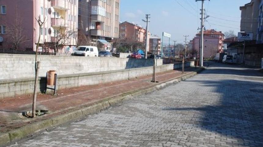 &Ccedil;aycuma Belediyesi'nden Ağa&ccedil;landırma &Ccedil;alışmaları