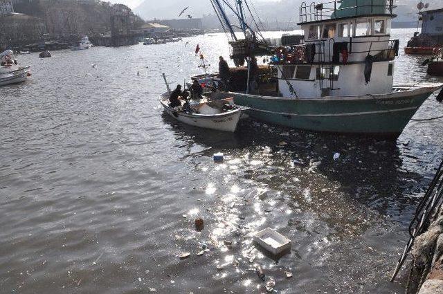 &Ccedil;&ouml;plerin Arasında Balığa Hazırlık 1