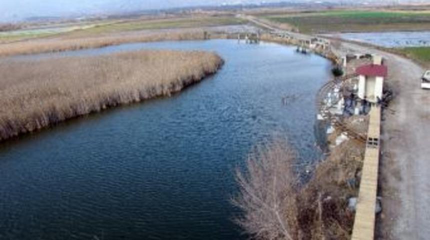 D&uuml;nya Sulak Alanlar G&uuml;n&uuml;