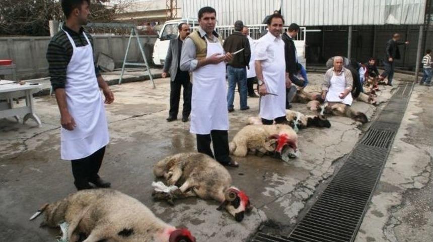 11 Yıllık Bakan &Ouml;zlemine 11 Kurban