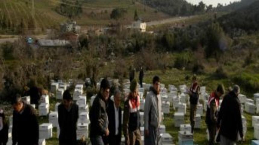 Jandarmadan Arı Kovanı Operasyonu