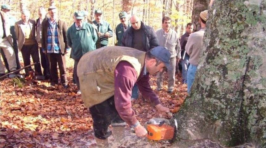 İneg&ouml;l "ormancılık Başkenti" Oluyor