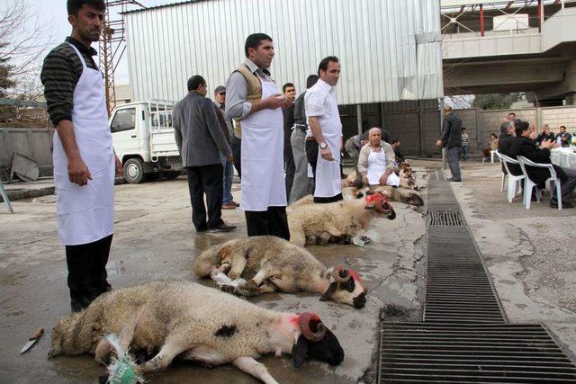 Bakansız Geçen 11 Yıl Için 11 Kurban Kestiler