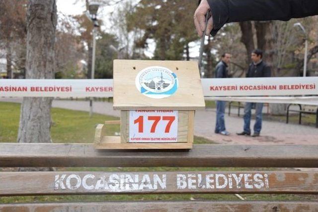 Kocasinan Belediyesinden Kuşlara Yuva Şefkati