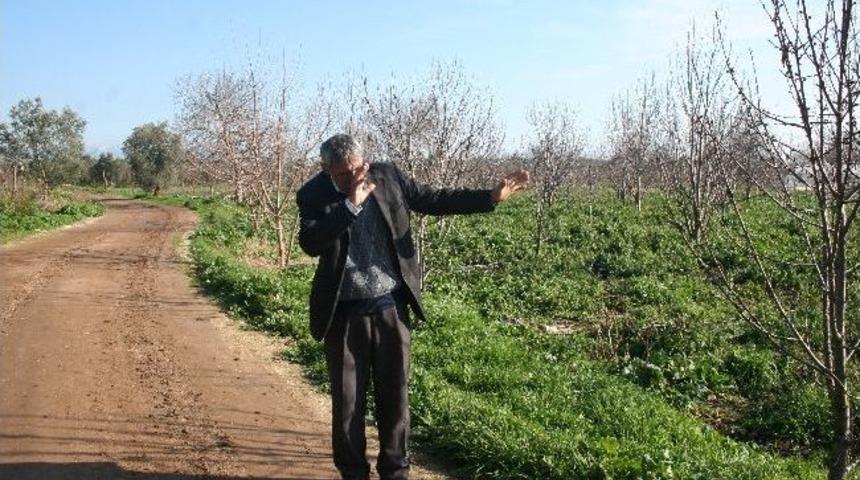 &Ccedil;ift&ccedil;iye Kartal Saldırdı