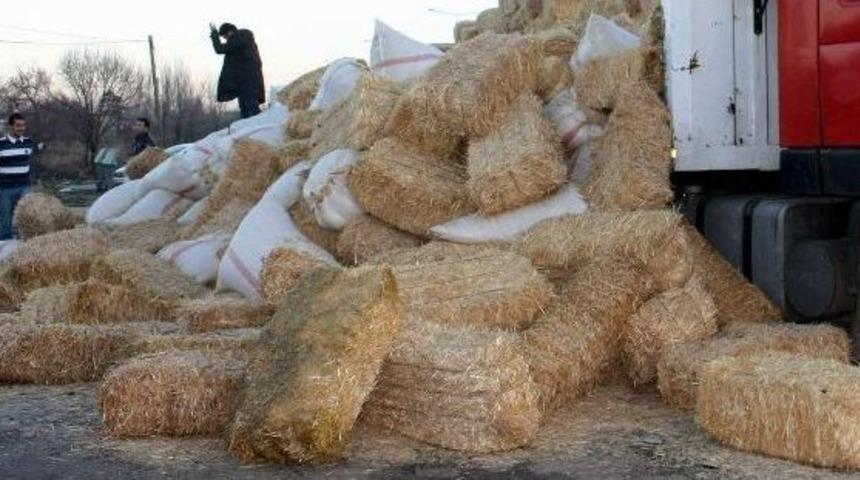 Hayvan Yetiştiricileri Artan Maliyetlere Karı Direniyor