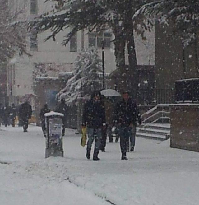 Van’da Kar Yağışı Ve Sis 1