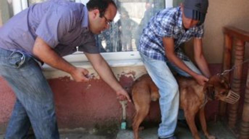 Altıbin d&ouml;rty&uuml;z hayvan sağlık taramasından ge&ccedil;irildi