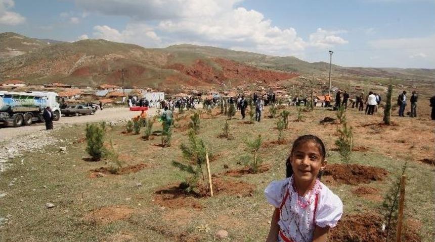 &Ccedil;ankaya&rsquo;dan 22 Bin Ağa&ccedil;lık Orman