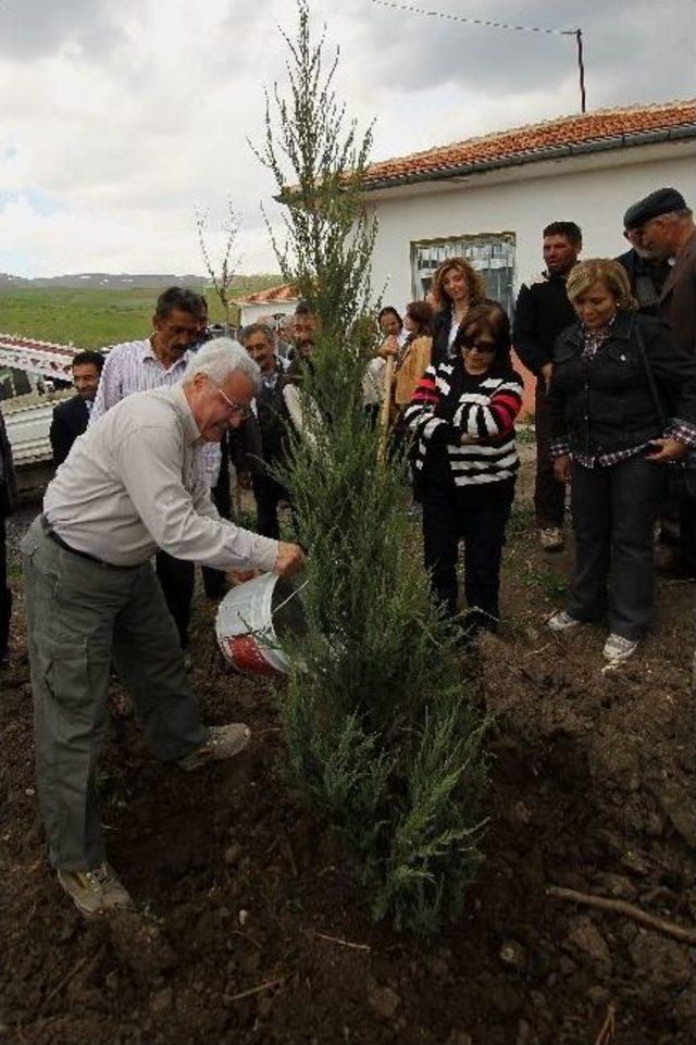 &Ccedil;ankaya&rsquo;dan 22 Bin Ağa&ccedil;lık Orman 1