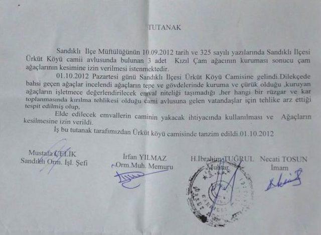 "3 Ağa&ccedil; İ&ccedil;in İzin Aldılar, 19 Ağacı Kestiler" 1